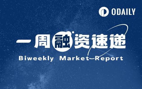 开云体育中国官网-Polkadot突然面临安全漏洞，亏损多达加密市场万美元，引爆行情
