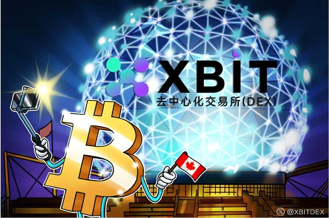 Polkadot突然面临安全漏洞，亏损多达加密市场万美元，引爆行情